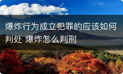 爆炸行为成立犯罪的应该如何判处 爆炸怎么判刑