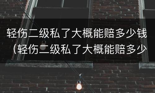 轻伤二级私了大概能赔多少钱（轻伤二级私了大概能赔多少钱一天）