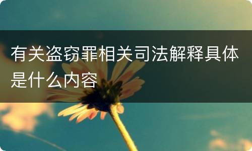 有关盗窃罪相关司法解释具体是什么内容