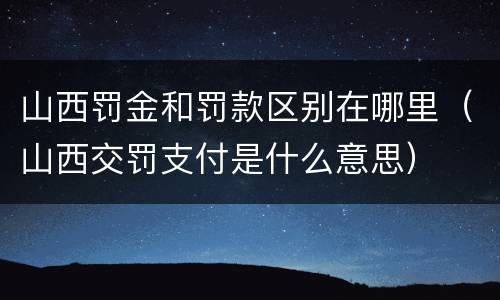 山西罚金和罚款区别在哪里（山西交罚支付是什么意思）
