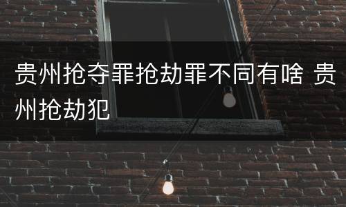 贵州抢夺罪抢劫罪不同有啥 贵州抢劫犯