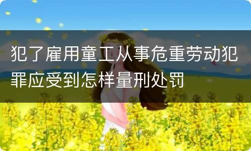 犯了雇用童工从事危重劳动犯罪应受到怎样量刑处罚