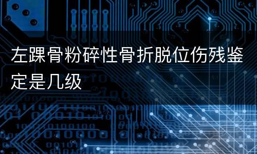 左踝骨粉碎性骨折脱位伤残鉴定是几级