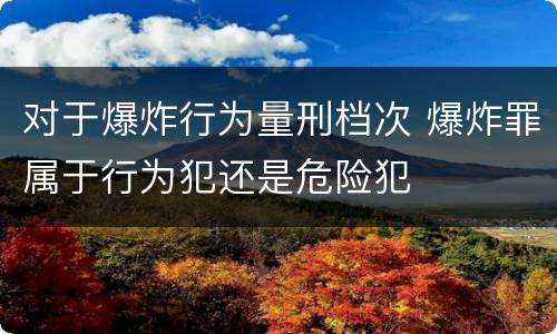 对于爆炸行为量刑档次 爆炸罪属于行为犯还是危险犯