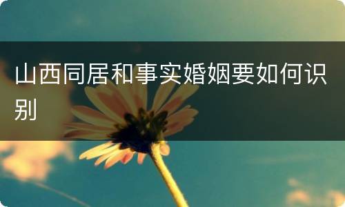 山西同居和事实婚姻要如何识别