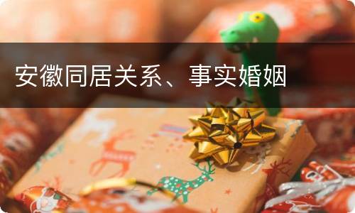 安徽同居关系、事实婚姻