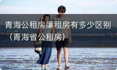 青海公租房廉租房有多少区别（青海省公租房）
