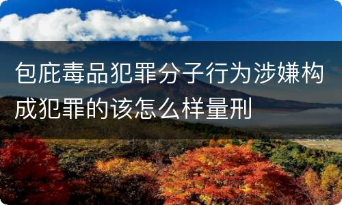包庇毒品犯罪分子行为涉嫌构成犯罪的该怎么样量刑