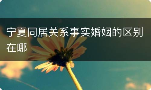 宁夏同居关系事实婚姻的区别在哪