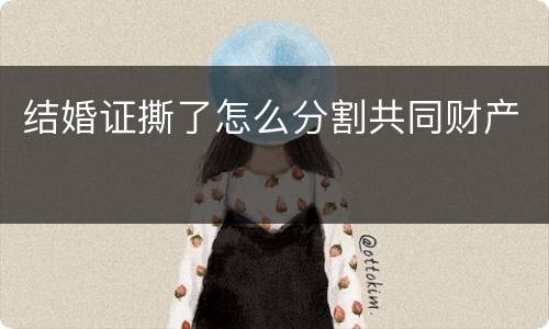 结婚证撕了怎么分割共同财产