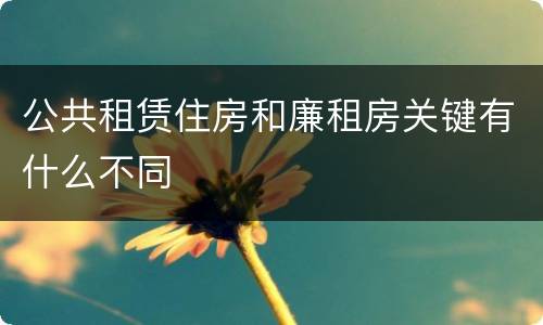公共租赁住房和廉租房关键有什么不同