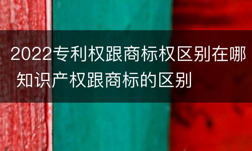 2022专利权跟商标权区别在哪 知识产权跟商标的区别