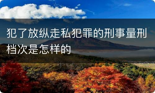 犯了放纵走私犯罪的刑事量刑档次是怎样的