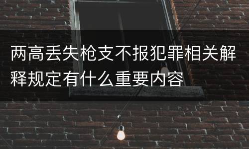 两高丢失枪支不报犯罪相关解释规定有什么重要内容