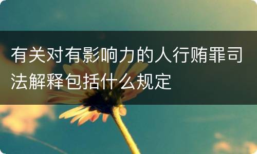 有关对有影响力的人行贿罪司法解释包括什么规定