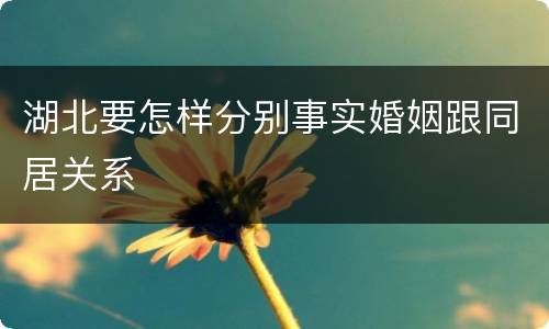湖北要怎样分别事实婚姻跟同居关系