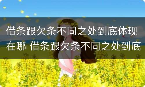 借条跟欠条不同之处到底体现在哪 借条跟欠条不同之处到底体现在哪些方面