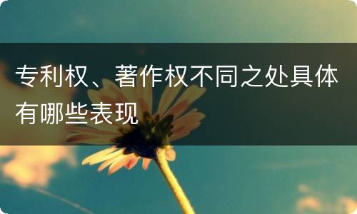 专利权、著作权不同之处具体有哪些表现