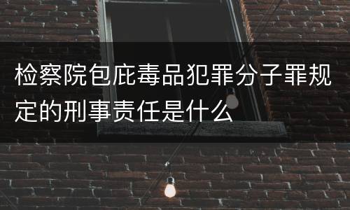 检察院包庇毒品犯罪分子罪规定的刑事责任是什么