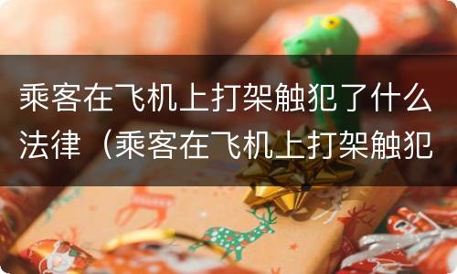 乘客在飞机上打架触犯了什么法律（乘客在飞机上打架触犯了什么法律规定）
