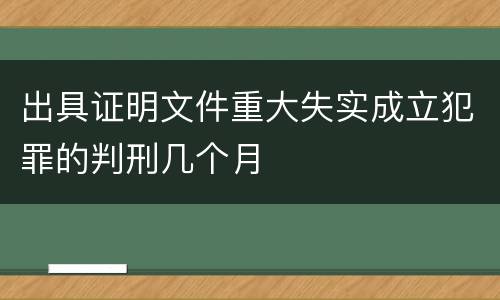 出具证明文件重大失实成立犯罪的判刑几个月