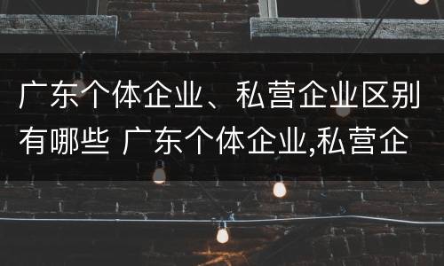 广东个体企业、私营企业区别有哪些 广东个体企业,私营企业区别有哪些企业