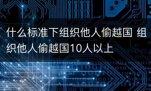 什么标准下组织他人偷越国 组织他人偷越国10人以上