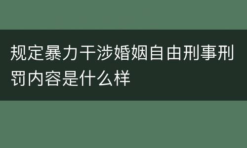 规定暴力干涉婚姻自由刑事刑罚内容是什么样