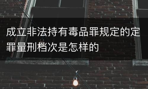 成立非法持有毒品罪规定的定罪量刑档次是怎样的