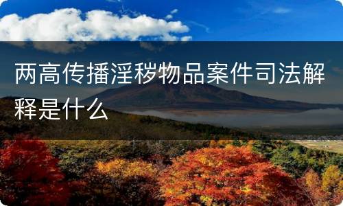 两高传播淫秽物品案件司法解释是什么
