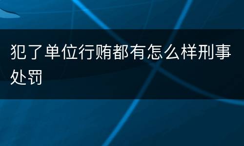 犯了单位行贿都有怎么样刑事处罚