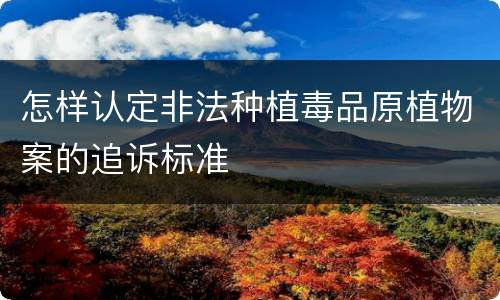 怎样认定非法种植毒品原植物案的追诉标准
