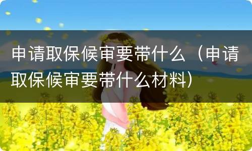 申请取保候审要带什么（申请取保候审要带什么材料）