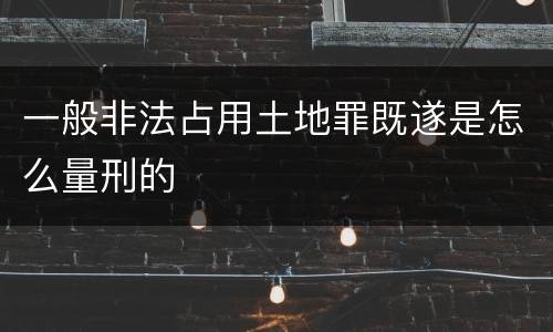 一般非法占用土地罪既遂是怎么量刑的