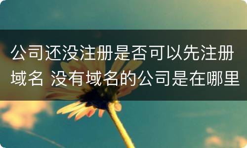 公司还没注册是否可以先注册域名 没有域名的公司是在哪里注册的