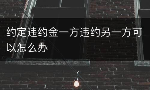 约定违约金一方违约另一方可以怎么办