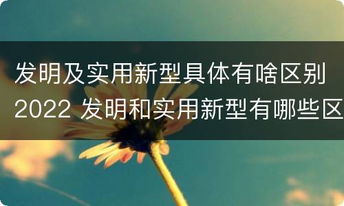发明及实用新型具体有啥区别2022 发明和实用新型有哪些区别