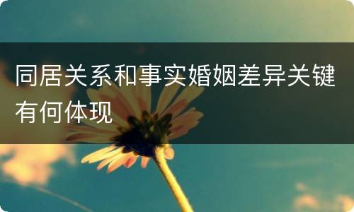 同居关系和事实婚姻差异关键有何体现