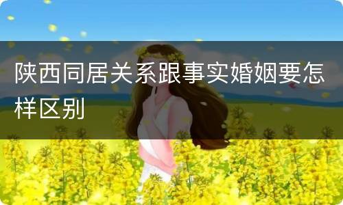陕西同居关系跟事实婚姻要怎样区别
