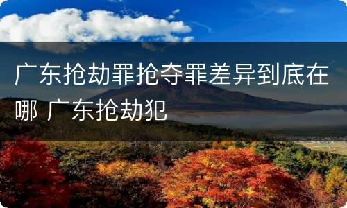 广东抢劫罪抢夺罪差异到底在哪 广东抢劫犯