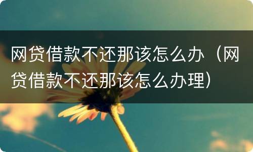 网贷借款不还那该怎么办（网贷借款不还那该怎么办理）