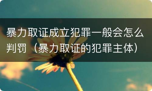暴力取证成立犯罪一般会怎么判罚（暴力取证的犯罪主体）