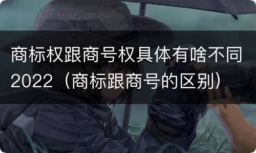 商标权跟商号权具体有啥不同2022（商标跟商号的区别）