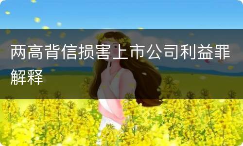 两高背信损害上市公司利益罪解释