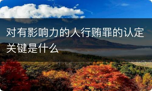 对有影响力的人行贿罪的认定关键是什么