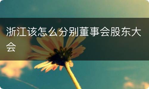 浙江该怎么分别董事会股东大会