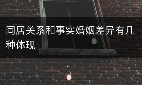 同居关系和事实婚姻差异有几种体现