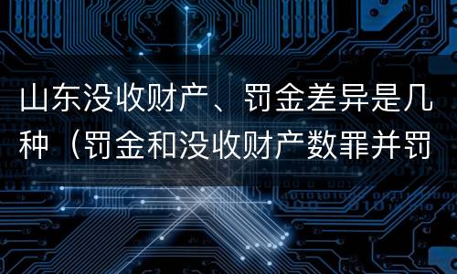 山东没收财产、罚金差异是几种（罚金和没收财产数罪并罚）