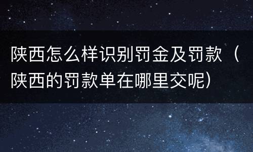 陕西怎么样识别罚金及罚款（陕西的罚款单在哪里交呢）