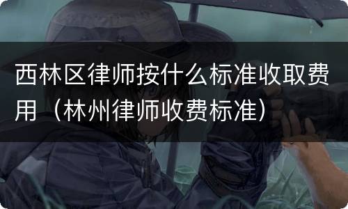西林区律师按什么标准收取费用（林州律师收费标准）